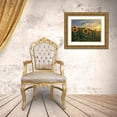 thumbnail image 3 of Quillen, Donnie 24x19 Gold Ornate Wood Framed with Double Matting Museum Art Print Titled - Midwest Livin I, 3 of 4