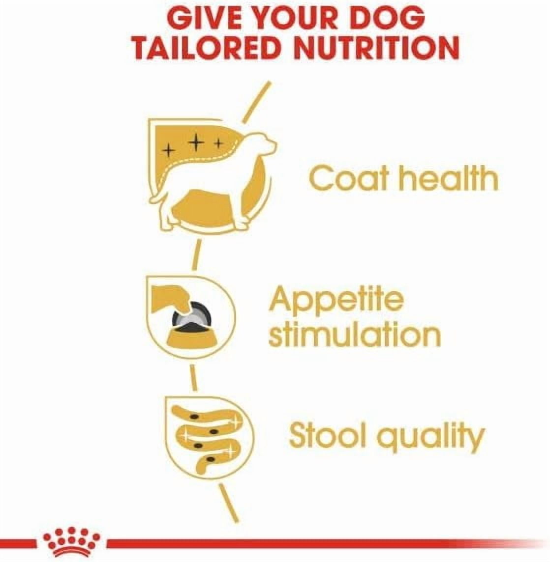 Royal Canin Yorkshire Terrier Dog Wet Food 12x85g