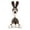 Brown, variant on Deago Pet Squeaky Plush Dog Toys with Donkey Shape Durable Dog Chew Toys for Small Medium Large Dogs