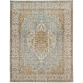 thumbnail image 1 of Amer Rugs Eternal Bordered Vintage Sea Mist Area Rug, Runner, or Round, 1 of 5