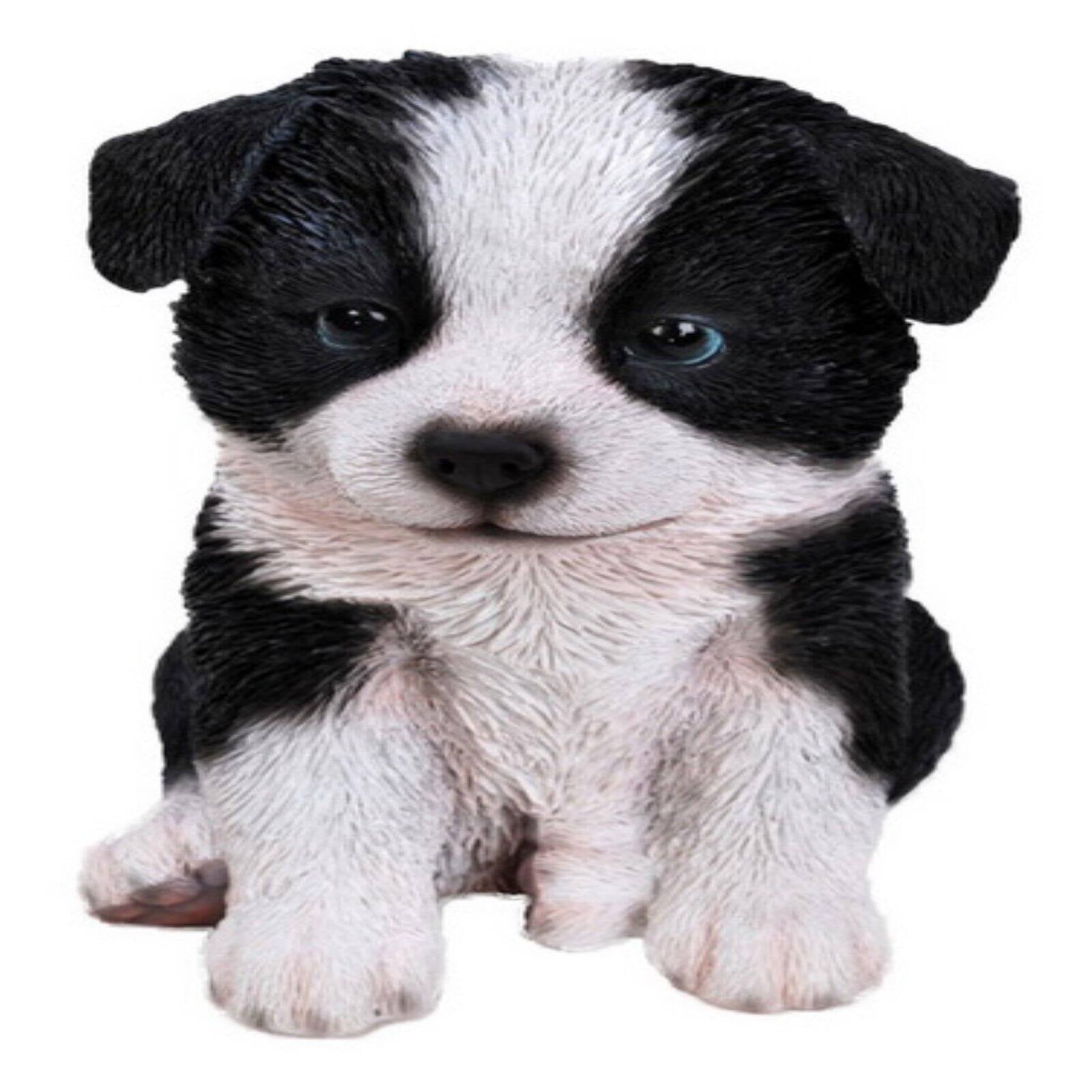 LightningStore Adorable Cute Black and White Border Collie Puppy Dog D