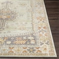 thumbnail image 3 of Surya Bodrum BDM-2334 63 x 87" Rectangle Fabric Rug in Medium Green/Medium Gray, 3 of 7