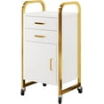 thumbnail image 3 of White and Gold Salon Rolling Cart with Wheels, Mobile Beauty Trolley with 2 Drawers, Salon Station with Storage Cabinet for Hair Stylist, Rolling Beauty Station for Barbershop, Spa & Tattoo, 3 of 7