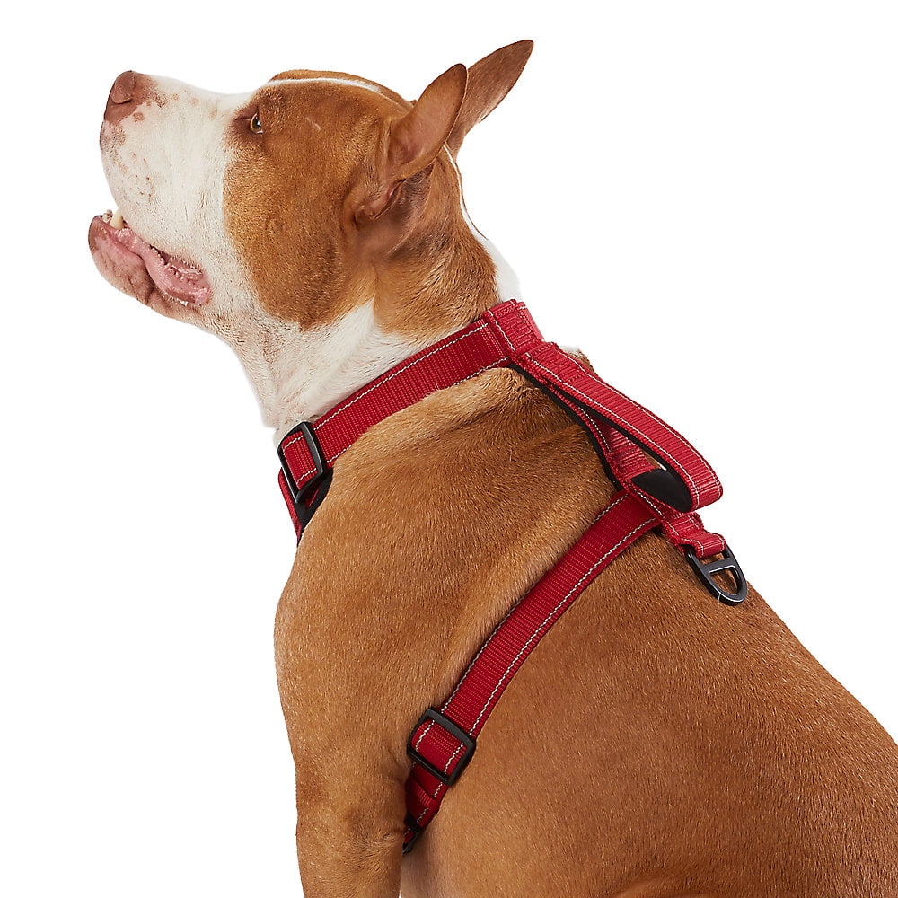 KONG Max Ultra Durable Neoprene Padded Chest Plate Dog Harness offered by The Barker Company (Red, Medium)