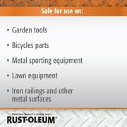 Rust-Oleum 224284 Stops Rust 10.25 oz Rust Inhibitor Spray, Clear