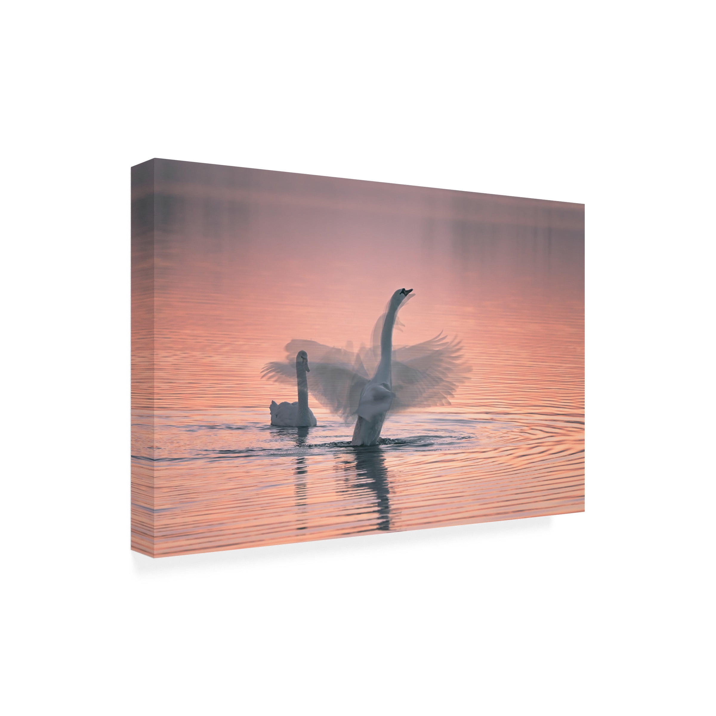 Aidong Ning 'Dancing For You' Canvas Art