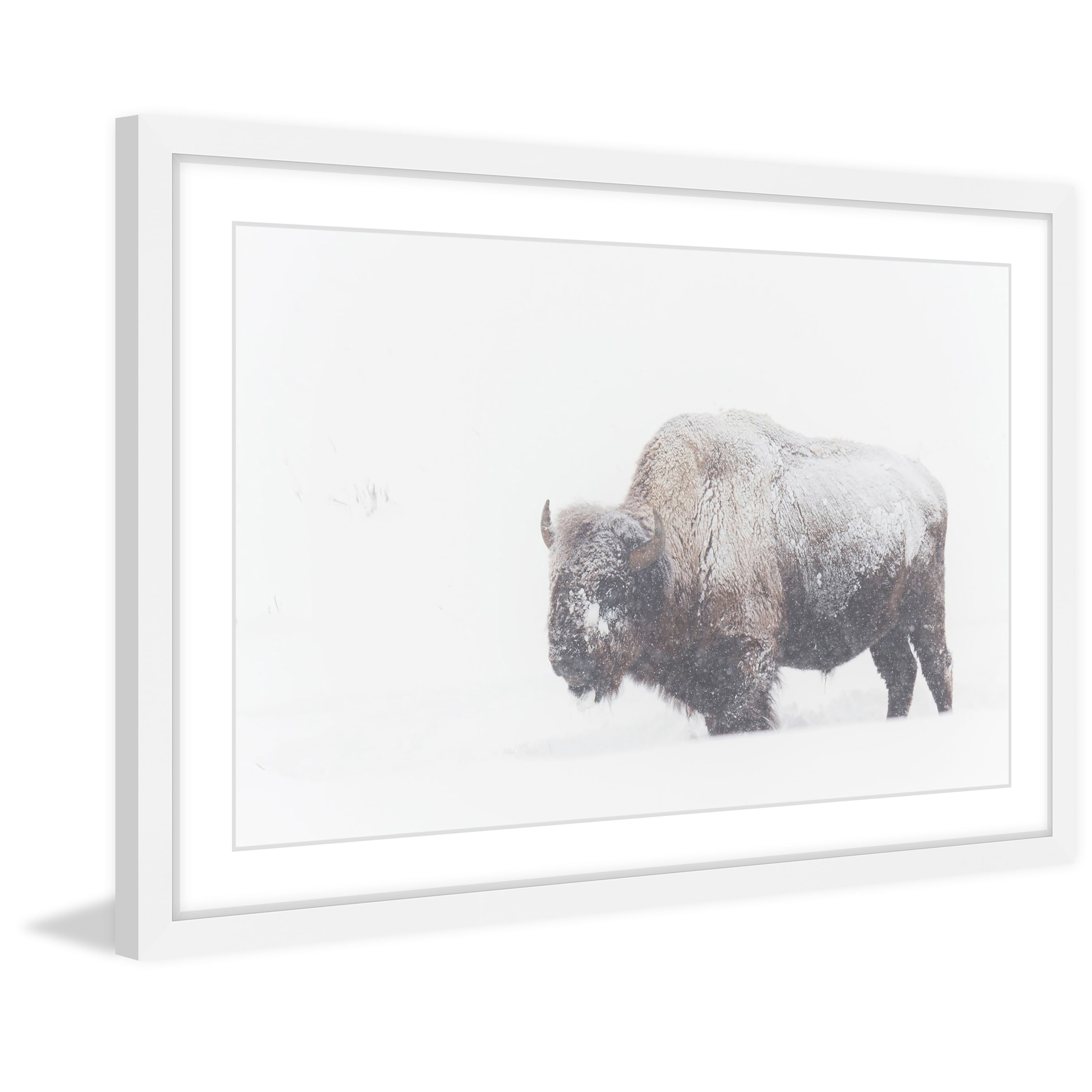 Marmont Hill "Icy Fur" Framed Painting Print