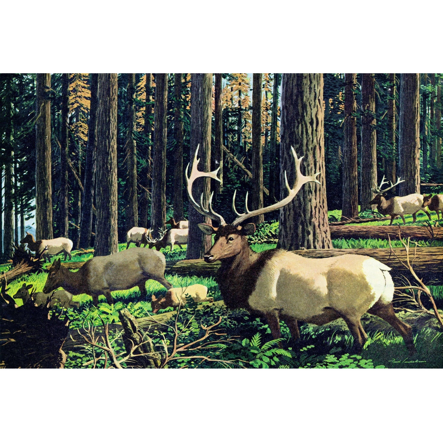 "Elk Herd" Painting Print on Wrapped Canvas