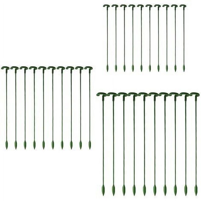 Paquete de 30 estacas para plantas de jardín, tallo único, estacas para flores, orquídeas, peonías, lirios, rosas Ormromra BST3083902