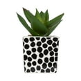 thumbnail image 3 of Kibo Mini Faux Succulent Dots Pot, 3 of 5