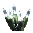 thumbnail image 1 of Celebrations 9016911 T5 LED Commercial Light Set, Pure White - 50 Lights, 1 of 1