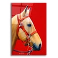 thumbnail image 1 of Epic Art 'Horse Portrait' by Ata Alishahi, Acrylic Glass Wall Art, 16"x24", 1 of 8
