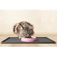 thumbnail image 6 of CatGuru Cat Bowls, Whisker Stress Free Cat Food Bowl, Reliefs Whisker Fatigue, Wide Cat Bowl, Non Slip Cat Food Bowls, Shallow Cat Dish, Cat Feeding & Watering Supplies (Set of Two, Pink), 6 of 8