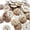 Style 1, variant on Jiibva 100Pcs/Set Natural Round Coconut Buttons with 2 Holes Creative Wooden Sewing Buttons for DIY Clothes Decorations