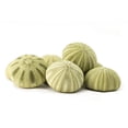 thumbnail image 2 of Sea Urchin | 5 Green Sea Urchin Shells for Craft and Decor, 2 of 3