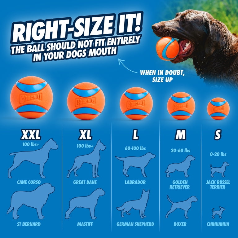 Chuckit! Ultra Tug Ball Dog Toy, 3 Inches, Large photo 5