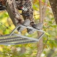 thumbnail image 5 of Summit Titan & 180 Max 6 Channel Climbing Treestand Platform Footrest | 85133, 5 of 5