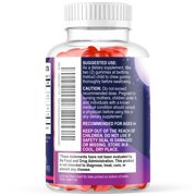 Kids Melatonin Gummies - 2mg Melatonin Per Serving - Childrens Melatonin Gummy for Restful Sleep - Best Childrens Chewable Sleep Supplement - Vegan, Non-GMO, Natural Berry Flavor - 60 Gummies