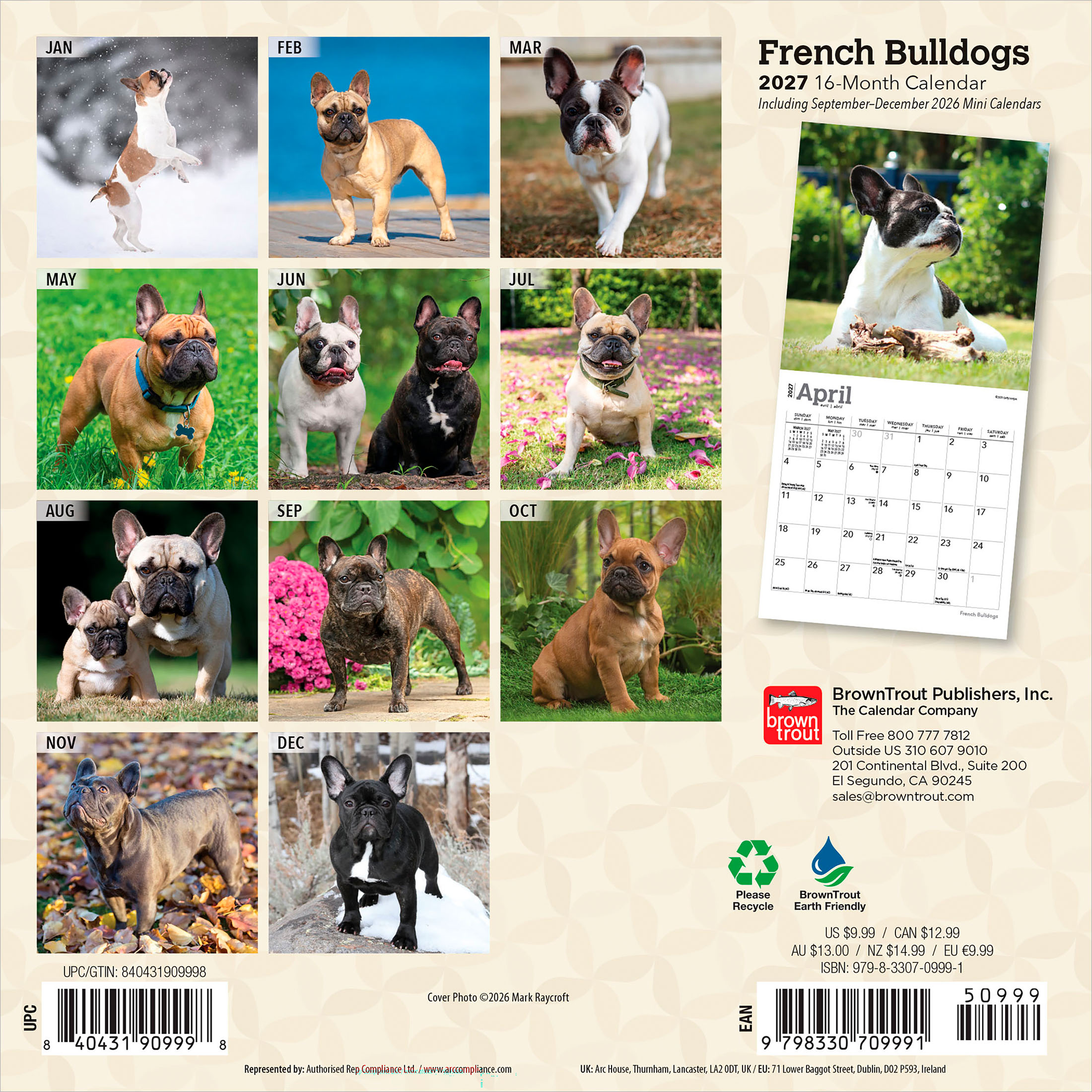 French Bulldogs 2027 Mini