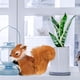 thumbnail image 5 of Escultura de ardilla de simulación, figura de ardilla, adorno para jardín, decoración animal, 5 of 8