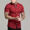 thumbnail image 2 of Camisa Cuello Mao Manga Corta Hombre Vestir Caballero, 2 of 7