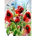 thumbnail image 2 of Kovacs, Anna Brigite 19x24 Gold Ornate Wood Framed with Double Matting Museum Art Print Titled - Red Poppies, 2 of 4