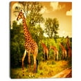 thumbnail image 2 of South African Giraffes - African Canvas Art Print, 2 of 3
