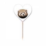 Brown Jungle Civet Cats Lovely Little Toothpick Flags Heart Lable Cupcake Picks