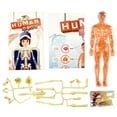 thumbnail image 4 of Science Lab: Human Body Kit, 4 of 7