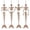 4 PCS Mermaids, variant on Joyfy 24 Inch Halloween Skeleton Decor with LED Light Eyes,Posable Skeleton Halloween Prop Full Body with Movable Joints for Haunted House Indoor Outdoor Decoration Spooky Decor