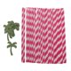 thumbnail image 2 of Grano de coco de papel 25x Colcomx Pajas de beber, 2 of 8