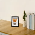thumbnail image 1 of OULII display frame shadow box black wooden specimen storage 1Set, 1 of 7