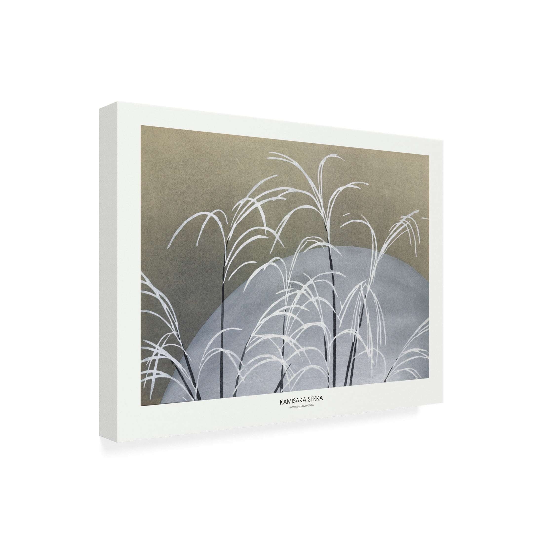 Trademark Fine Art Pictufy  Frost From Momoyogusa Canvas Wall Art