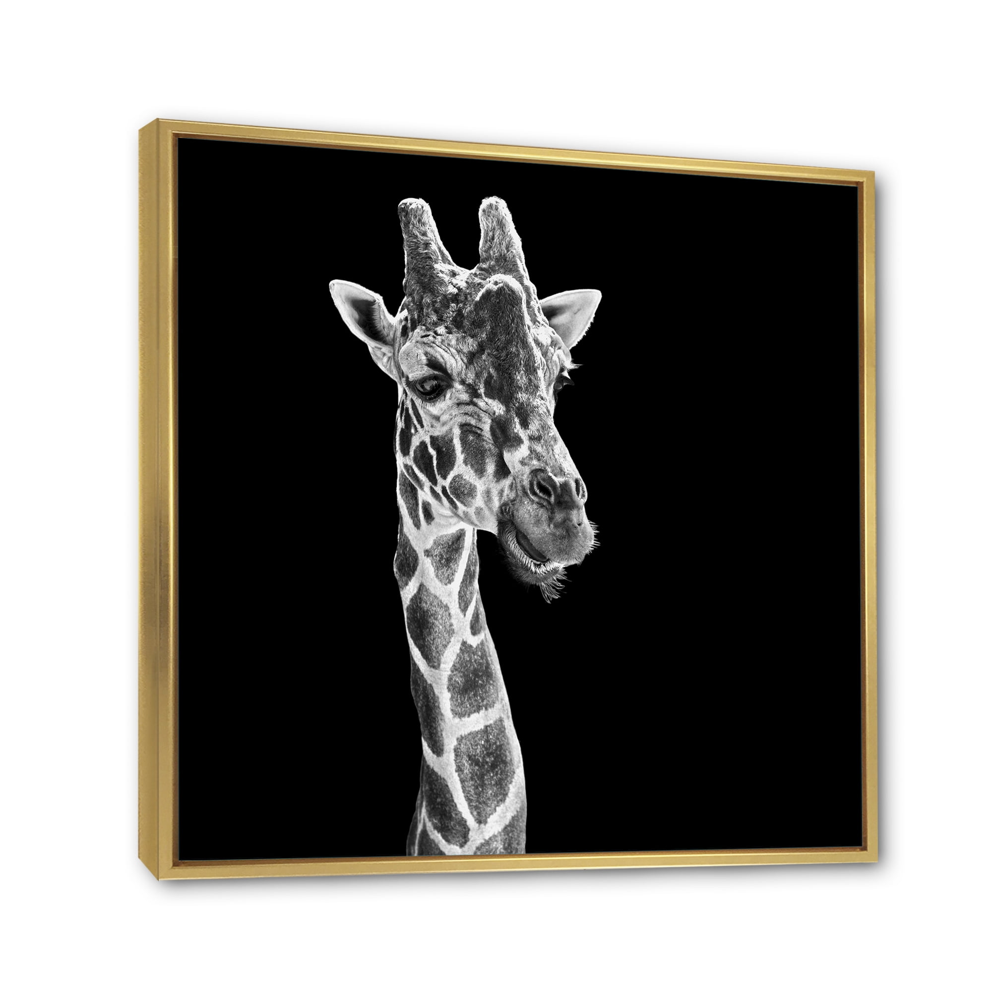 Designart 'Close Up Portrait Of A Giraffe On Black II' Farmhouse Framed Canvas Wall Art Print