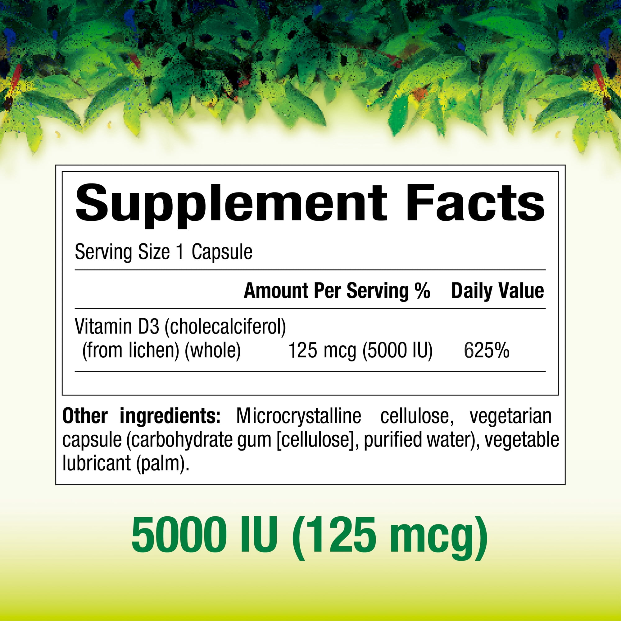 Whole Earth & Sea from Natural Factors, Vitamin D3 5000 IU (125 mcg), Whole Food Supplement, Vegan, 60 Capsules (60 Servings)