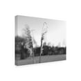 thumbnail image 2 of Jason Johnson 'Ethereal Pampas VIII' Canvas Art, 2 of 3