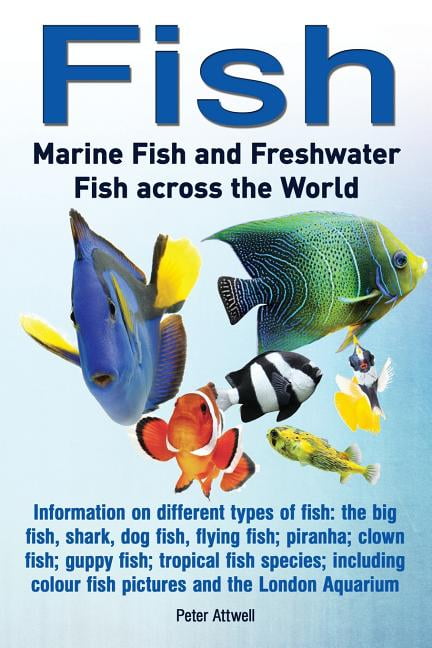 buy marine fish