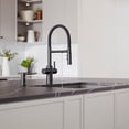 thumbnail image 4 of Blanco 442990 Catris Filter-Ready 1.5 GPM Single Hole Pre-Rinse Pull Down Kitchen Faucet -, 4 of 6