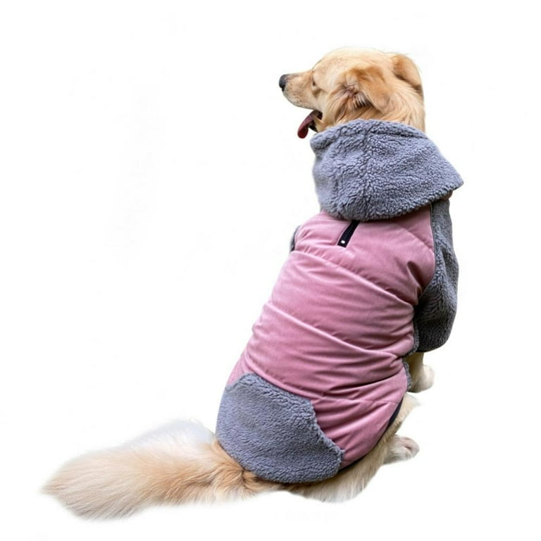 Walmart 2025 dog apparel