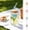 🔥 Random, variant on YYV 450ML Clear Glass Tumbler With Bow Decor Lid Matching Glass Straw Smooth Surface Cold Brew Coffee Iced Tea Cup Reusable Beverage Mug For Home Office Outdoor Use