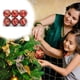 thumbnail image 1 of xihome Juego de 6 adornos navideños plateados a rayas, bolas de plstico de 6 cm para decorar el rbol de Navidad., 1 of 6