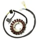 thumbnail image 1 of Bobina del estator del Alternador del motor Macarena de 18 Polos, 1 of 8