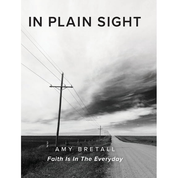 In Plain Sight: Faith Is In The Everyday, (Hardcover)