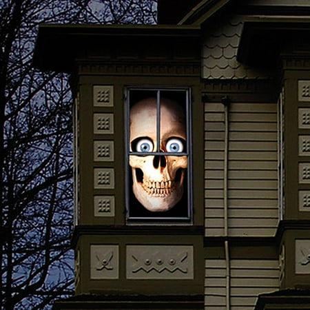 Skully Window/Wall Graphic Cling