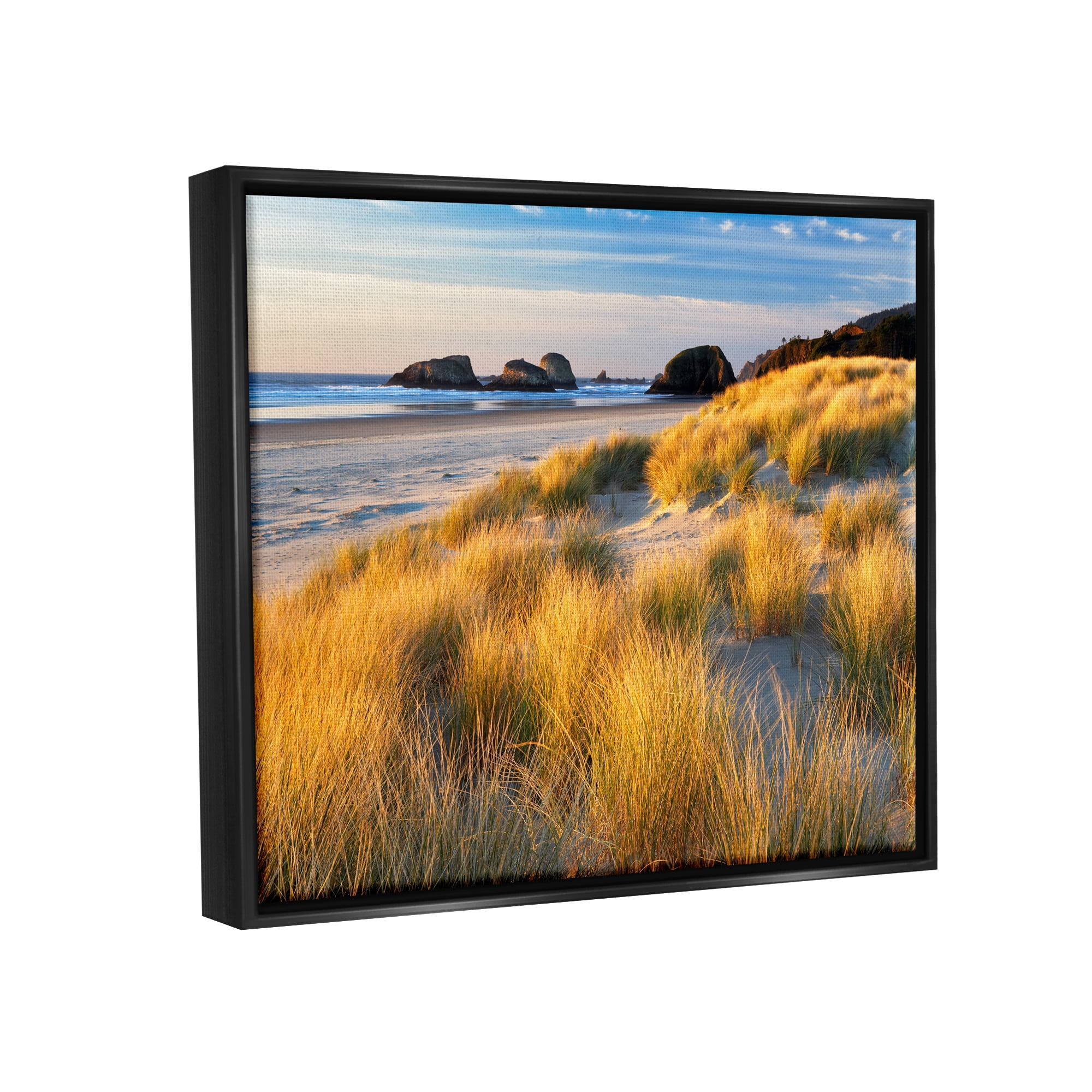 Stupell Industries Beach Grasses Summer Shoreline Coastal Photography Black Floater Framed Art Print Wall Art