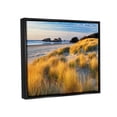 thumbnail image 3 of Stupell Industries Beach Grasses Summer Shoreline Coastal Photography Black Floater Framed Art Print Wall Art, 3 of 6