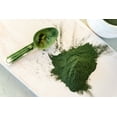 thumbnail image 6 of Organic Chlorella Powder, 1 Pound — Non-GMO, Raw, Vegan, Kosher — by Food to Live, 6 of 9