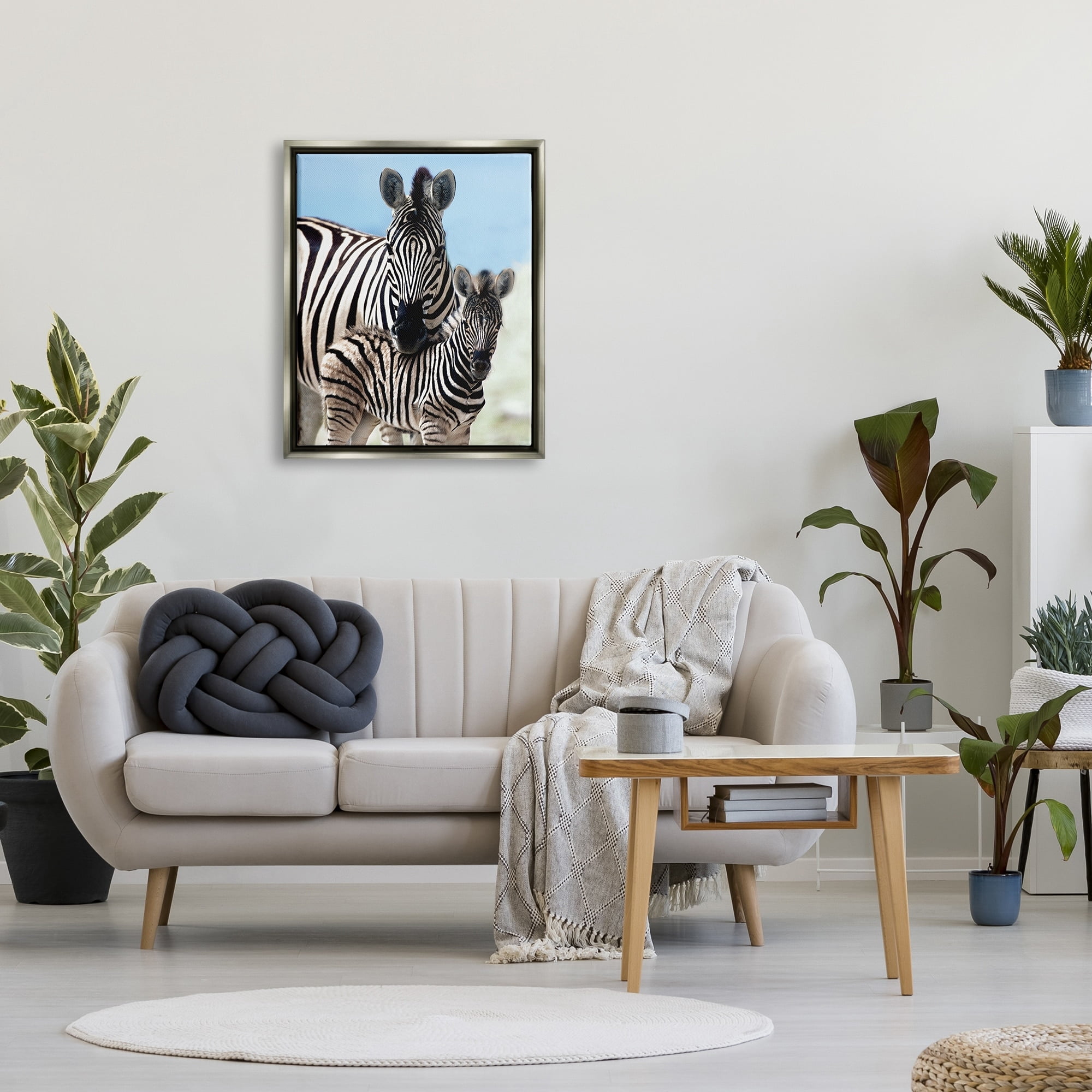 Stupell Industries Uplifting Zebra Family Mother Child Savanna Animals Photograph Luster Gray Floating Framed Canvas Print Wall Art, Design by Danita Delimont