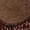 Cognac, variant on Stacy Adams Alario Wingtip Oxford Croco Leather Shoes Cognac 25725-221