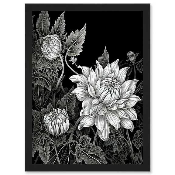 Detailed Black and White Dahlia Flower Blooms Artwork Framed Wall Art Print A4